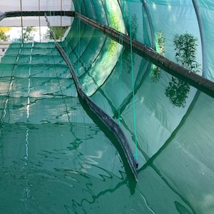 Découvrez les étapes de la production paysanne et biologique du Moulin de Conné ! 